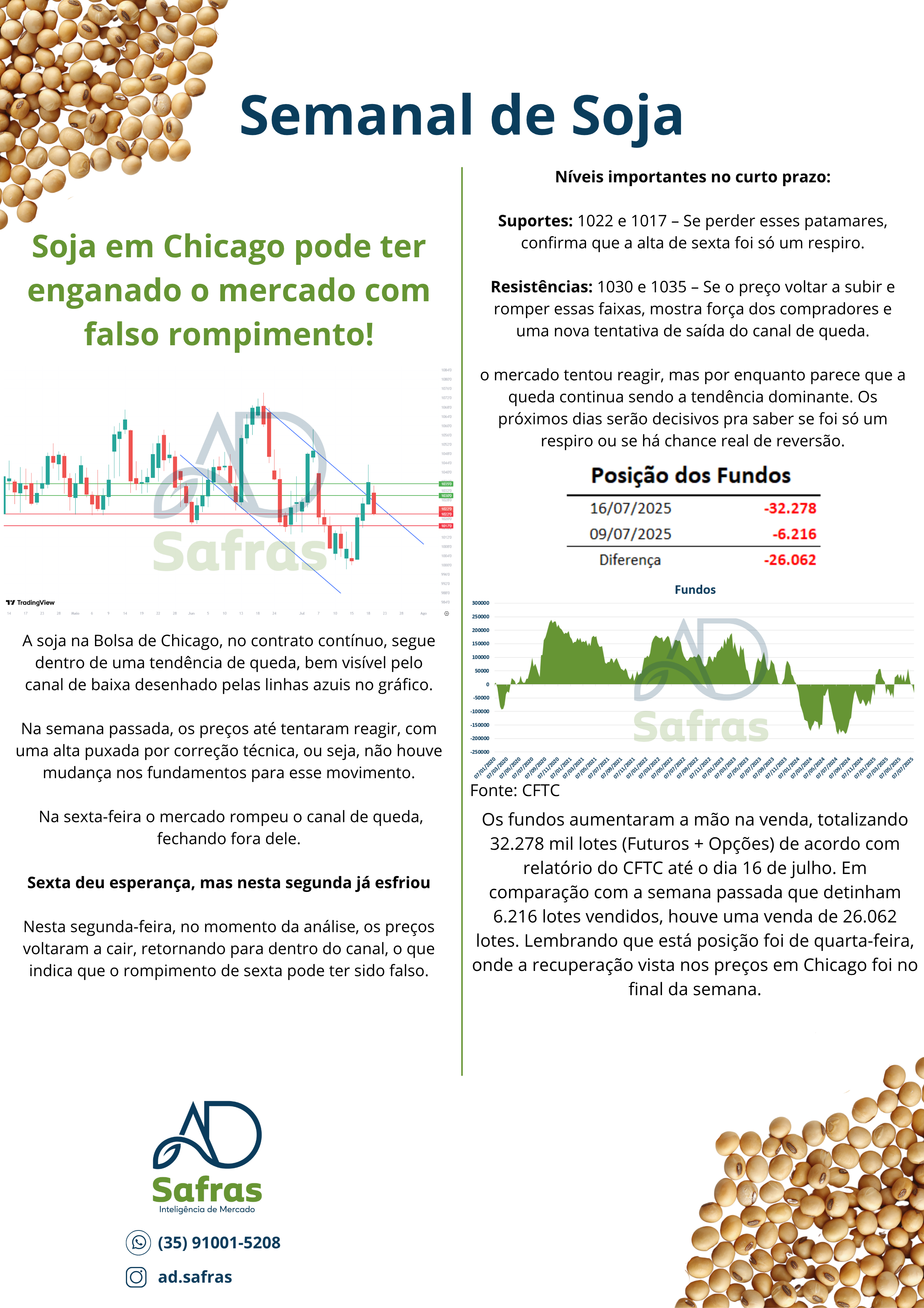 Relatório Soja 1